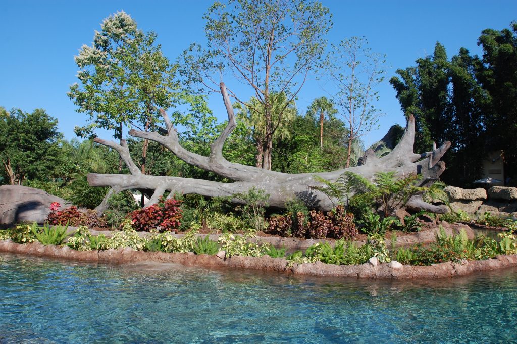Freshwater Oasis at Discovery Cove
