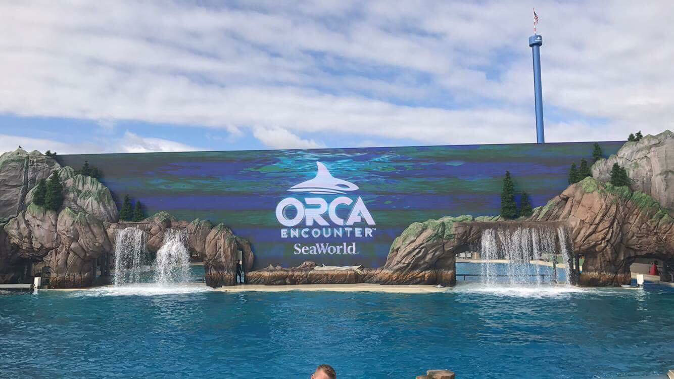 SeaWorld San Diego Orca Encounter