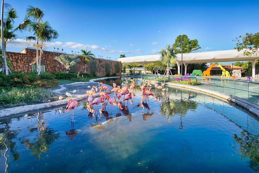 Florida: Mission Everglades at Zoo Miami