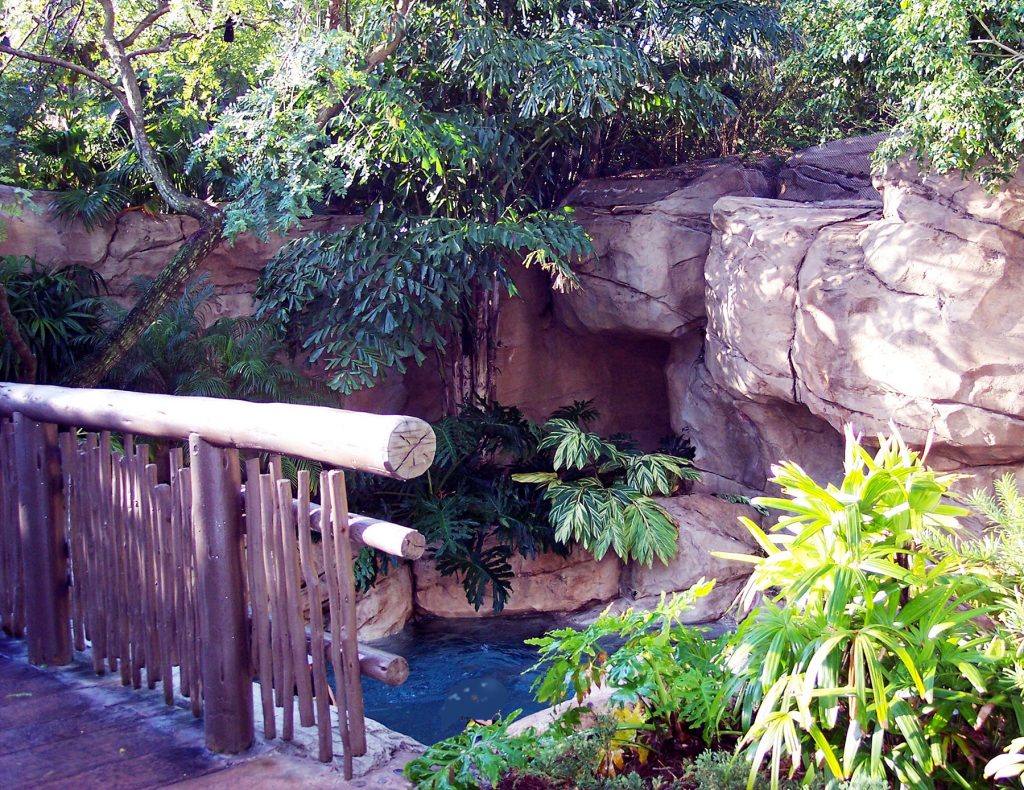 The Aviary at Discovery Cove
