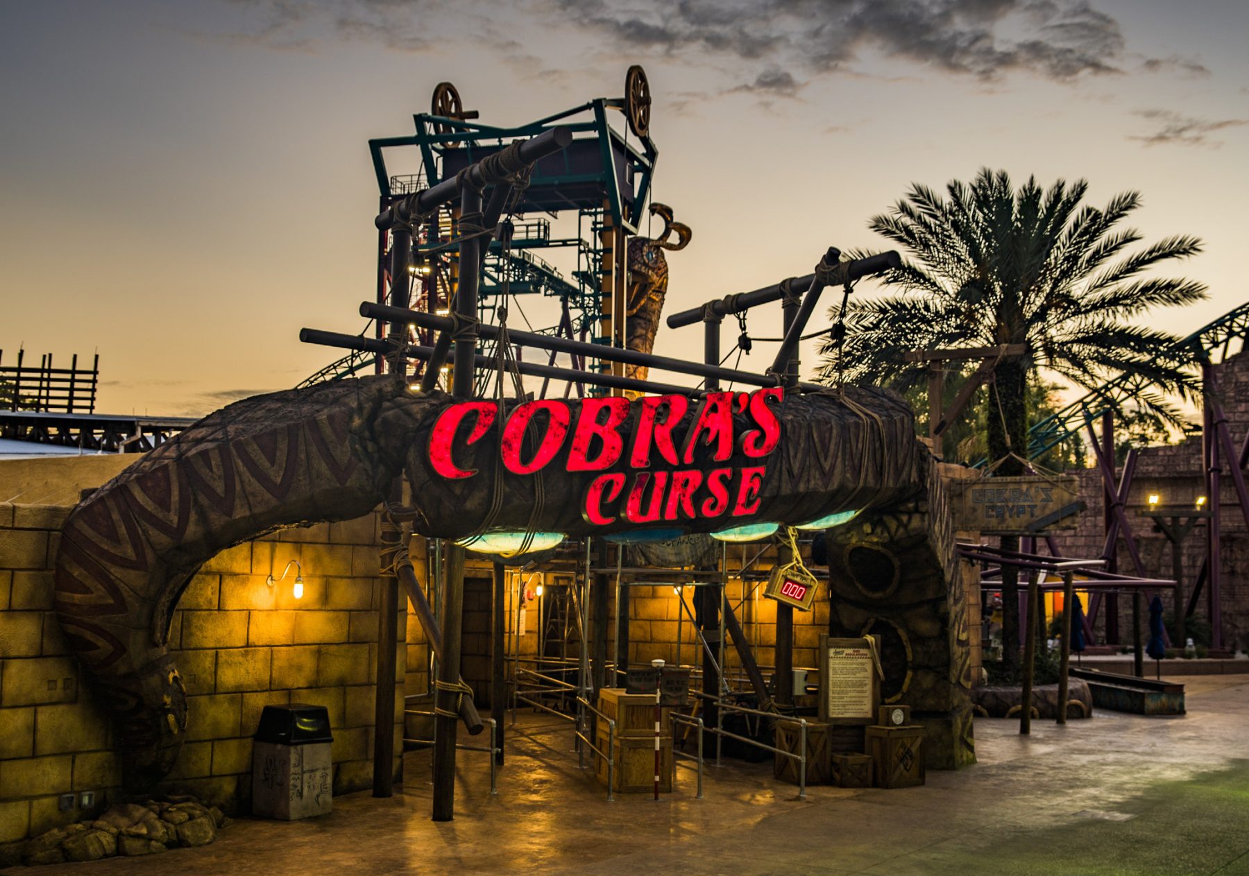 Cobra’s Curse